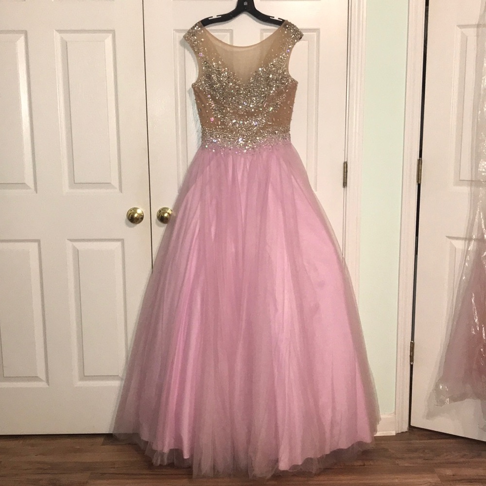 Pink Tulle Cinderella gown/dress